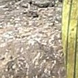 JPEG - 312.3 kio