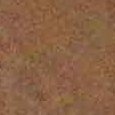 JPEG - 565 kio