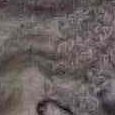 JPEG - 651.7 kio