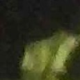JPEG - 564.4 kio