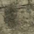 JPEG - 203.5 kio