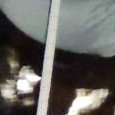 JPEG - 125.9 kio