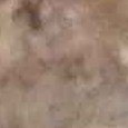 JPEG - 386.9 kio