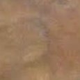 JPEG - 880.2 kio