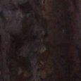 JPEG - 510.7 kio