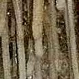 JPEG - 288.3 kio