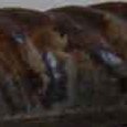 JPEG - 72.7 kio