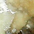 JPEG - 781.1 kio