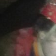 JPEG - 159.3 kio