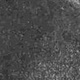 JPEG - 250.3 kio