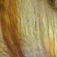 JPEG - 175.5 kio