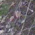 JPEG - 916.6 kio
