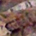 JPEG - 112.1 kio