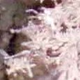 JPEG - 858.3 kio