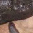 JPEG - 463.6 kio