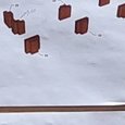 JPEG - 928.1 kio