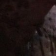 JPEG - 492.1 kio