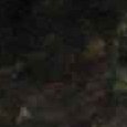 JPEG - 112.8 kio