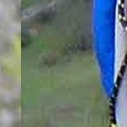 JPEG - 590.1 kio