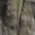 JPEG - 461.6 kio