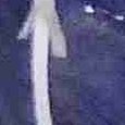 JPEG - 320.6 kio