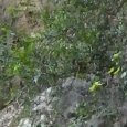 JPEG - 993.7 kio
