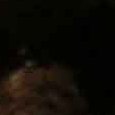 JPEG - 519.2 kio