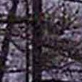 JPEG - 976.6 kio