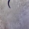 JPEG - 653.6 kio