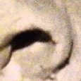 JPEG - 567.5 kio