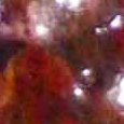 JPEG - 507.1 kio