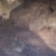 JPEG - 522.8 kio