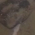 JPEG - 75.7 kio
