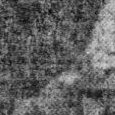 JPEG - 1.4 Mio