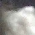 JPEG - 552.9 kio