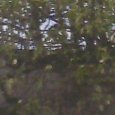 JPEG - 548.7 kio