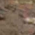 JPEG - 548.2 kio