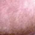JPEG - 354.1 kio