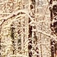 JPEG - 924.1 kio