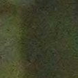 JPEG - 707.6 kio