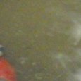 JPEG - 221.7 kio