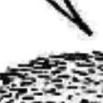 JPEG - 485.2 kio