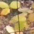 JPEG - 535.6 kio