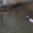 JPEG - 35.6 kio