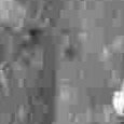 JPEG - 294.2 kio