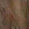 JPEG - 397.5 kio