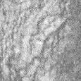 JPEG - 284.5 kio