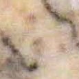 JPEG - 264.4 kio