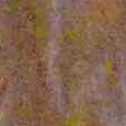 JPEG - 704.8 kio