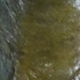 JPEG - 274.2 kio